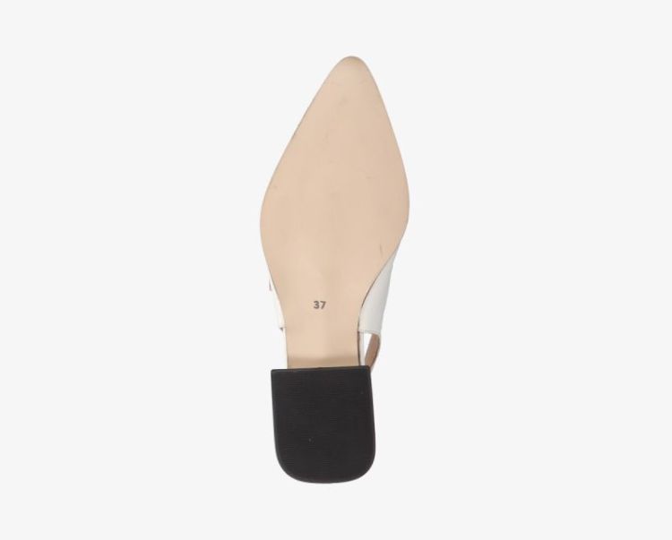 Lesia 4-d  bone white